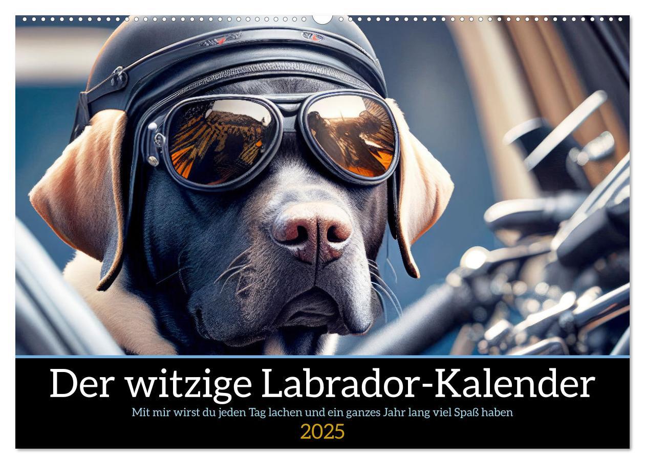 Cover: 9783435367535 | Der witzige Labrador-Kalender (Wandkalender 2025 DIN A2 quer),...