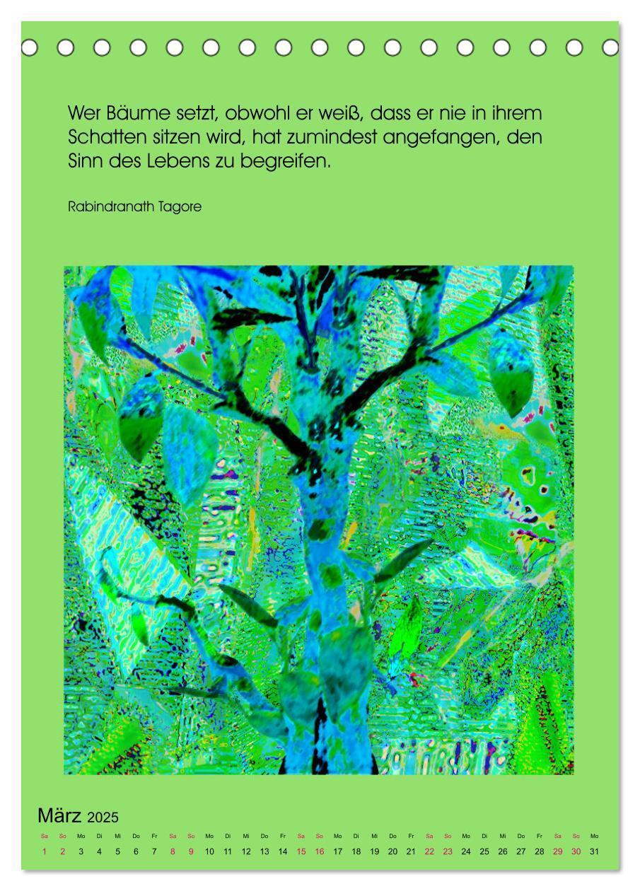 Bild: 9783435950553 | NaturVisionen (Tischkalender 2025 DIN A5 hoch), CALVENDO...