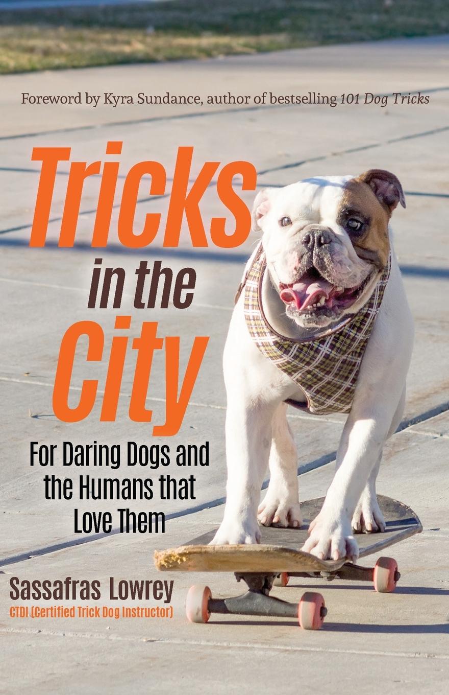 Cover: 9781642500394 | Tricks in the City | Sassafras Lowrey | Taschenbuch | Englisch | 2019