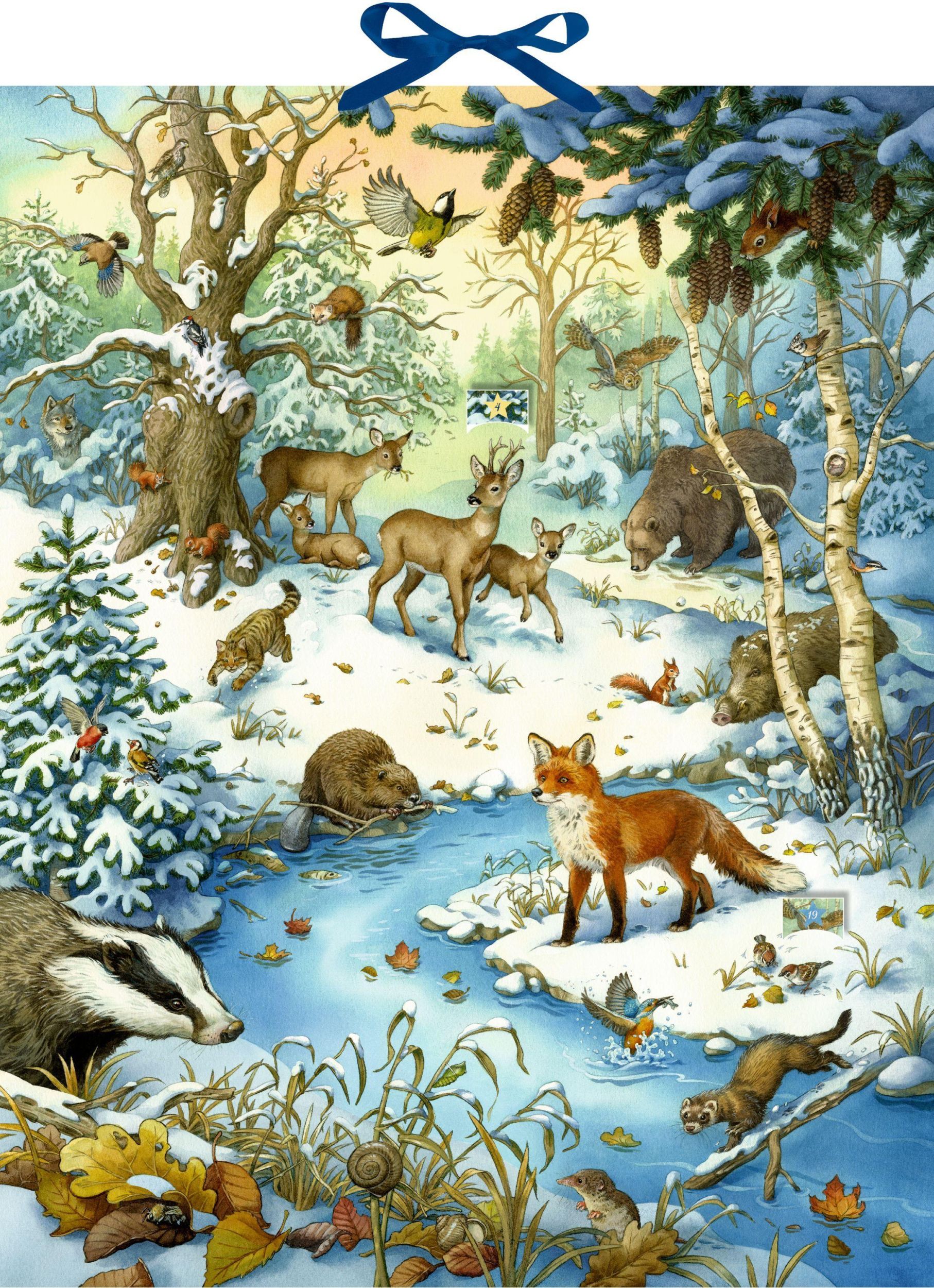 Cover: 4050003955087 | Zettel-Adventskalender - Die Tiere im Winterwald und ihr geheimes...