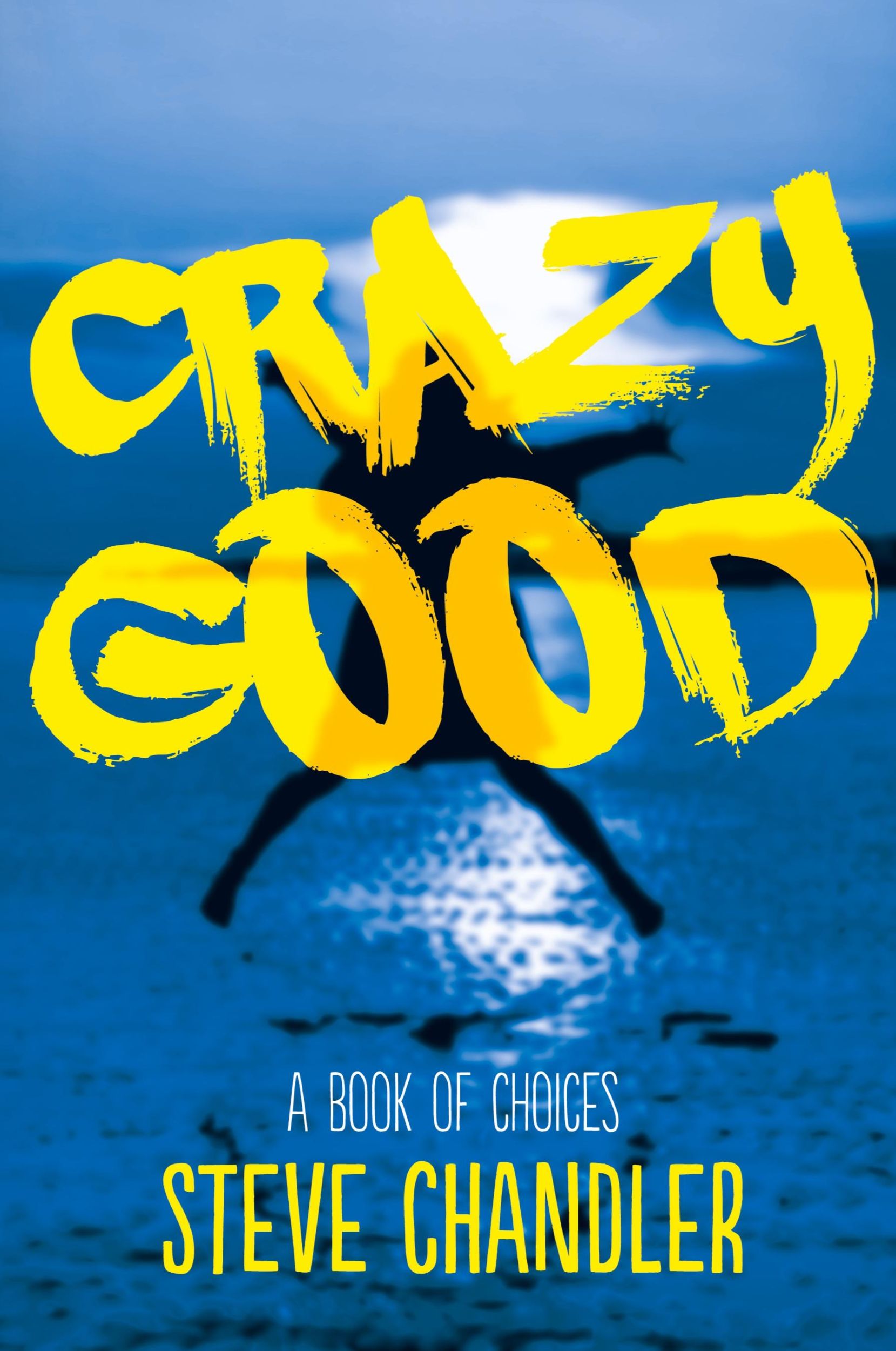 Cover: 9781600250347 | Crazy Good | A Book of CHOICES | Steve Chandler | Taschenbuch | 2015