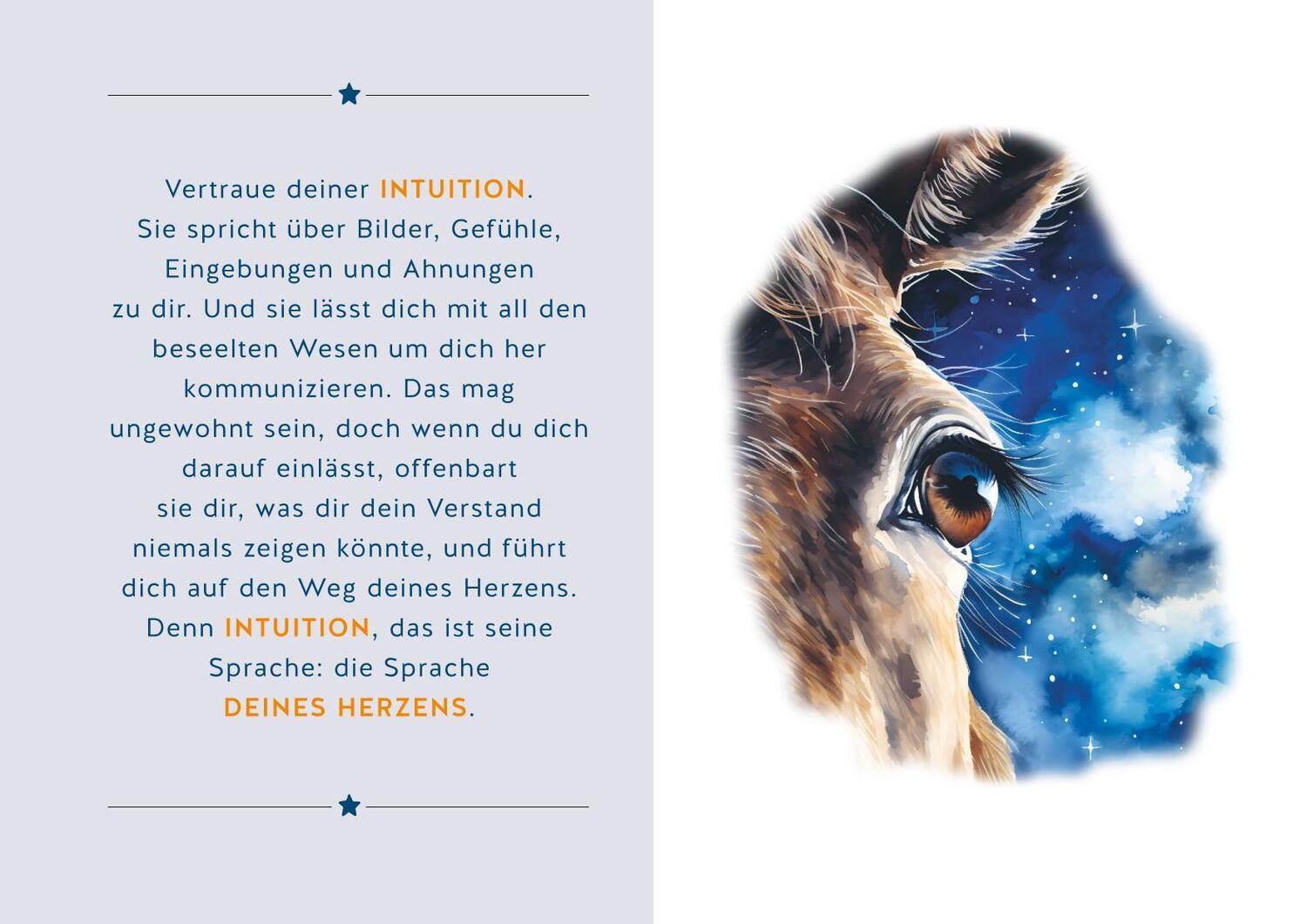 Bild: 9783833895579 | Leo und der Himmel auf Erden | Franziska Muri | Buch | 144 S. | 2024