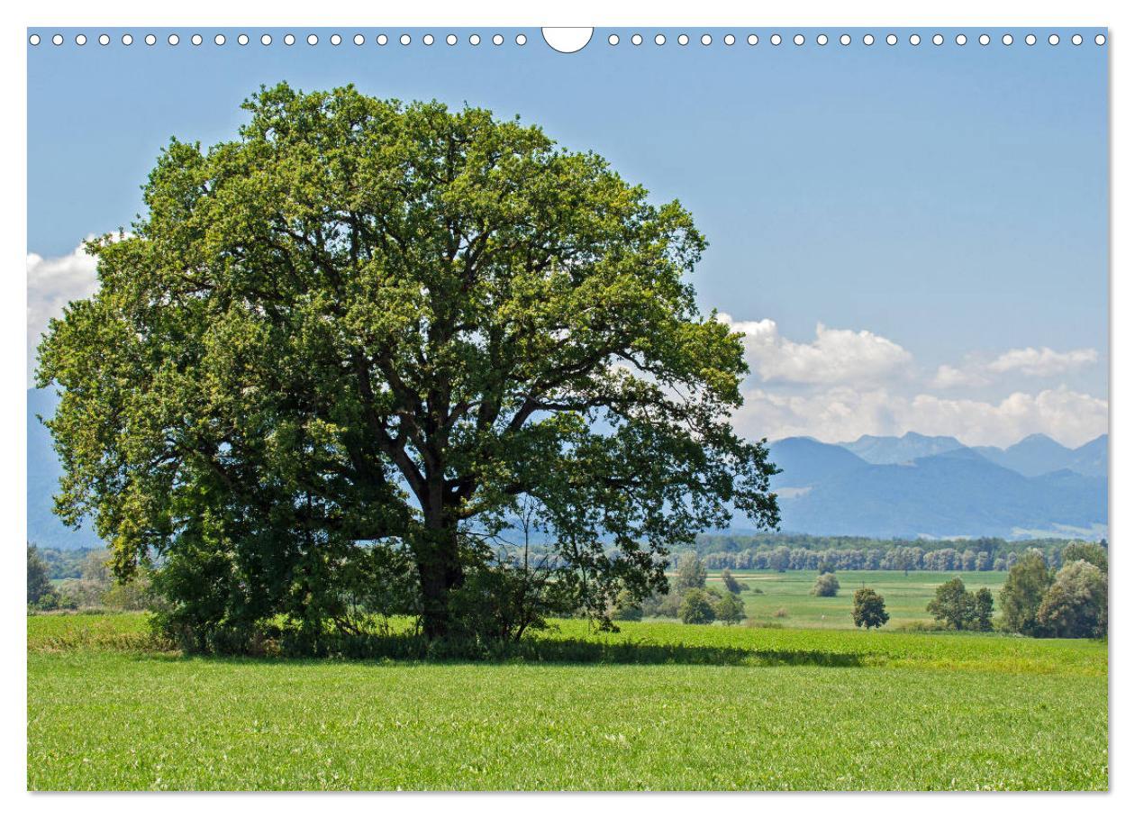 Bild: 9783435182671 | Chiemsee - Sommerferien am bayrischen Meer (Wandkalender 2025 DIN...