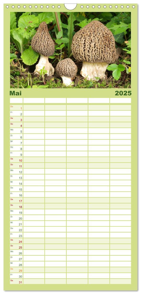 Bild: 9783457113059 | Familienplaner 2025 - Pilzkalender mit 5 Spalten (Wandkalender, 21...