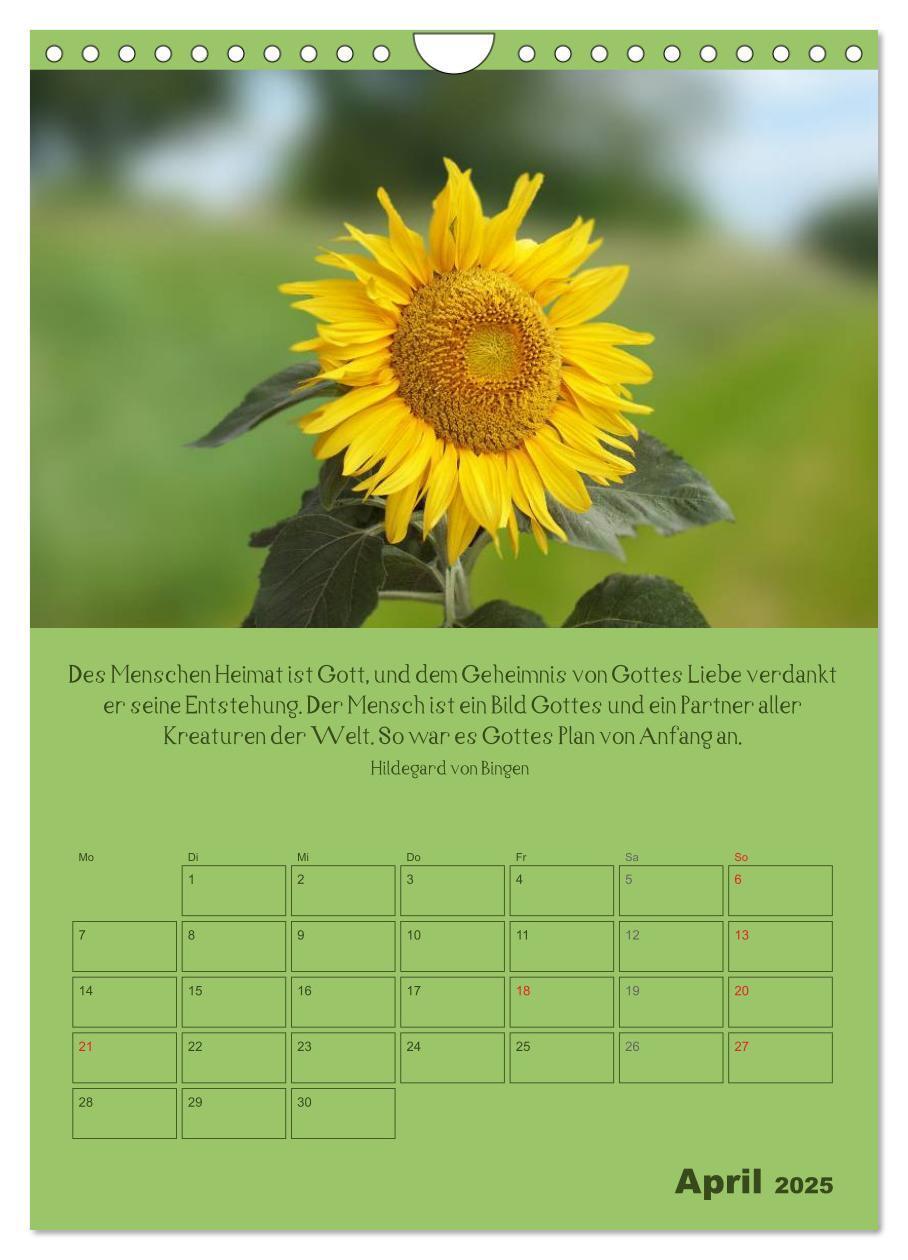 Bild: 9783457060032 | Erkenntnis und Weisheit - Hildegard von Bingen (Wandkalender 2025...