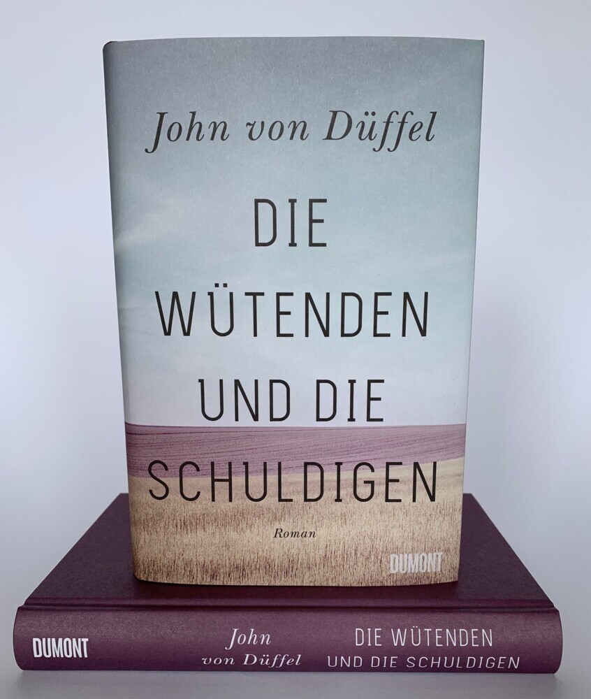 Bild: 9783832181635 | Die Wütenden und die Schuldigen | Roman | John Düffel | Buch | 320 S.