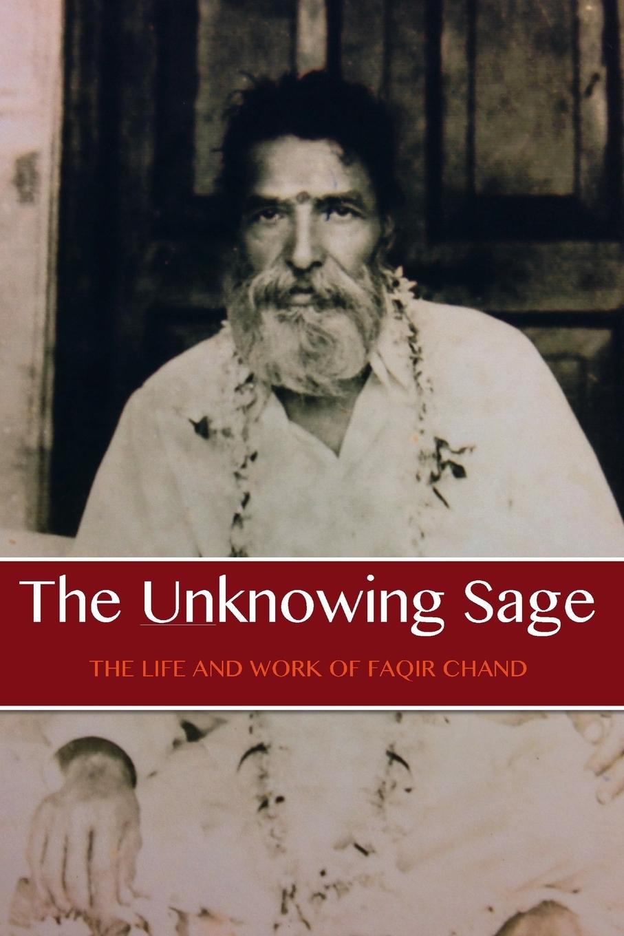 Cover: 9781565432543 | The Unknowing Sage | David Lane | Taschenbuch | Englisch | 2014