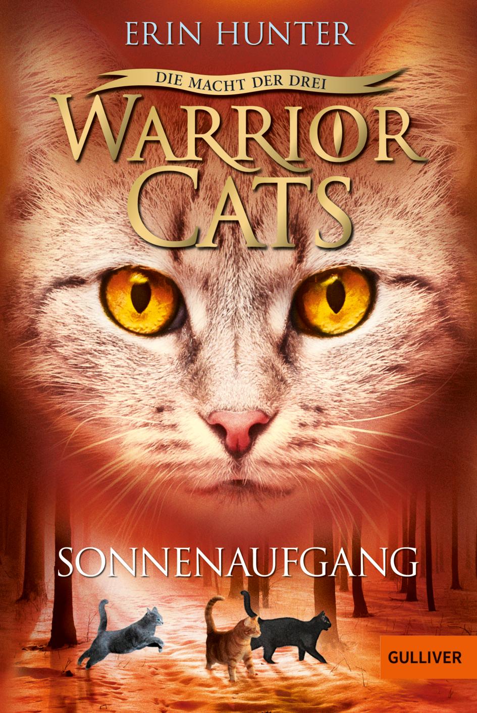 Cover: 9783407749185 | Warrior Cats Staffel 3/06. Die Macht der drei. Sonnenaufgang | Hunter