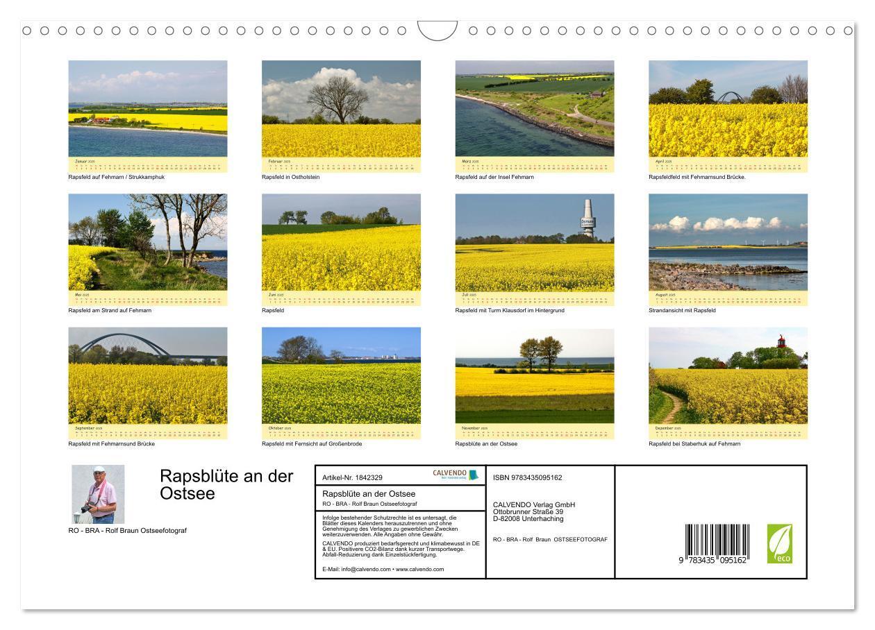 Bild: 9783435095162 | Rapsblüte an der Ostsee (Wandkalender 2025 DIN A3 quer), CALVENDO...