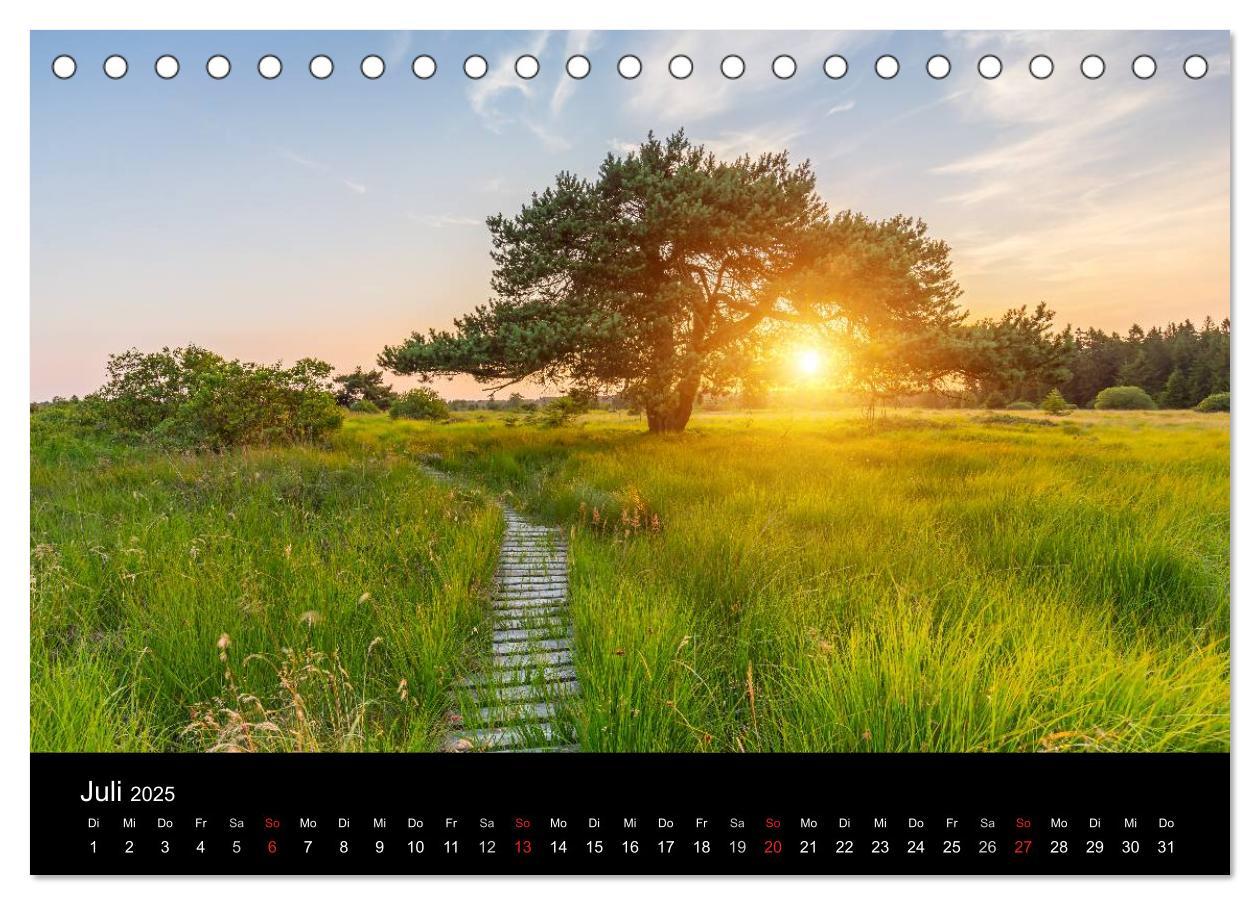 Bild: 9783435556830 | HOHES VENN - Einblicke in ein Hochmoor (Tischkalender 2025 DIN A5...