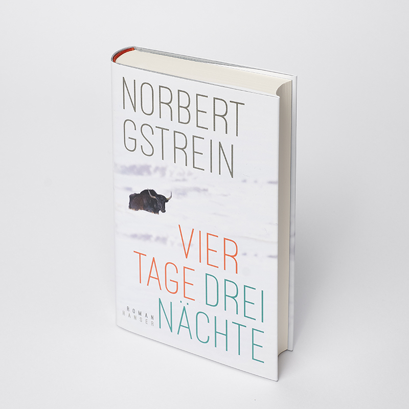 Bild: 9783446273986 | Vier Tage, drei Nächte | Roman | Norbert Gstrein | Buch | 352 S.