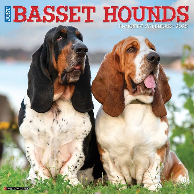 Cover: 9781549241604 | Just Basset Hounds 2025 12 X 12 Wall Calendar | Willow Creek Press