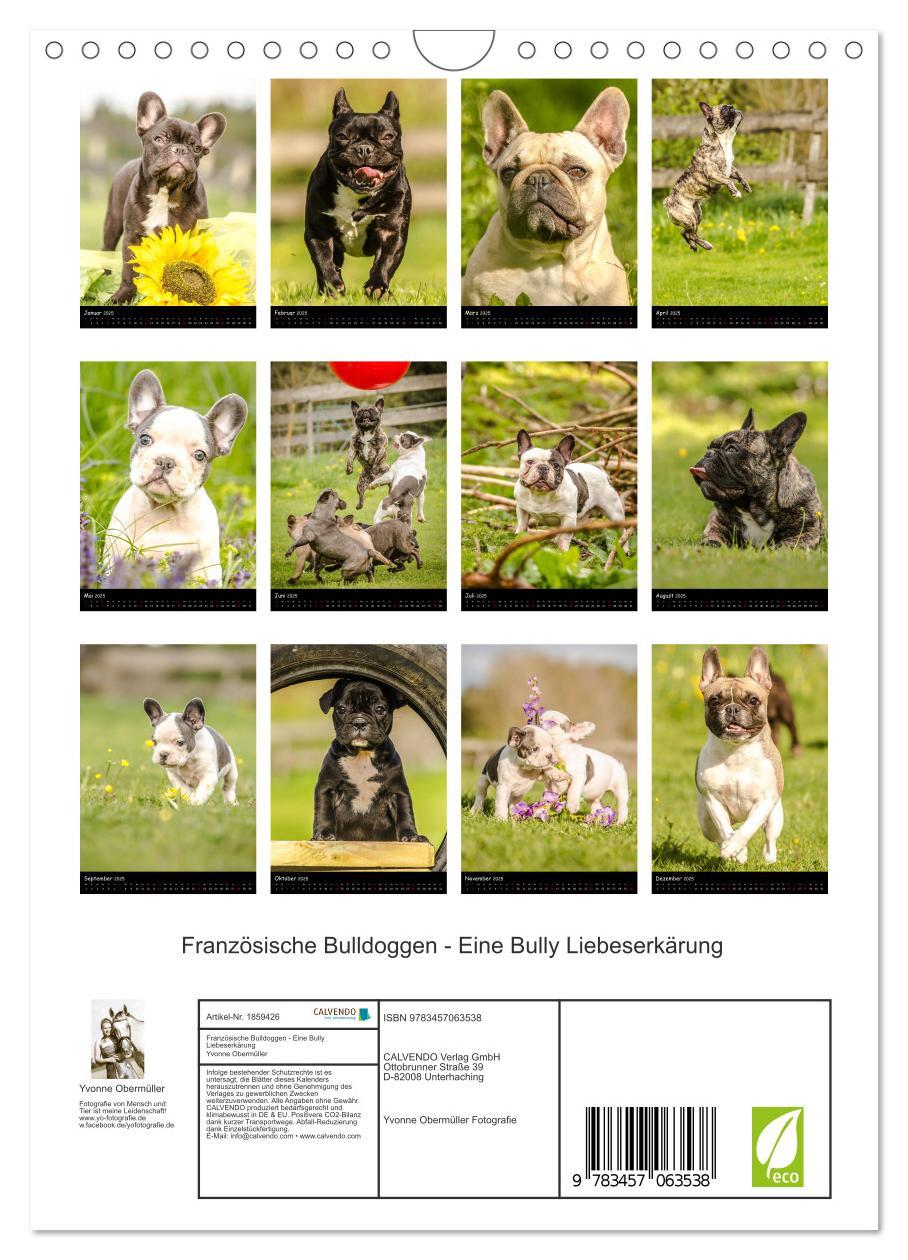 Bild: 9783457063538 | Französische Bulldoggen - Eine Bully Liebeserkärung (Wandkalender...