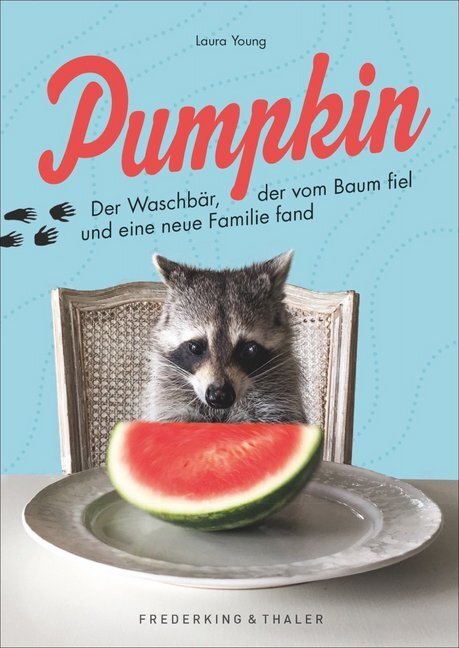 Cover: 9783954162949 | Pumpkin | Der Waschbär, der vom Baum fiel und eine neue Familie fand