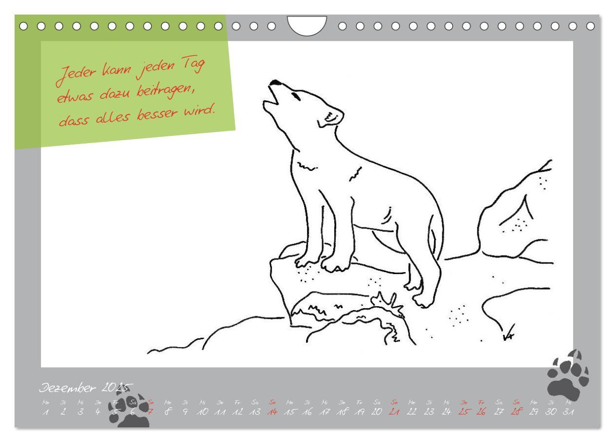 Bild: 9783435726660 | Der kleine GROSSE Wolf - Kalender (Wandkalender 2025 DIN A4 quer),...