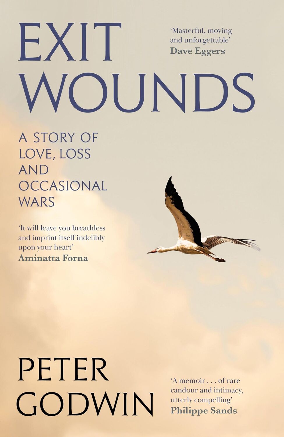 Cover: 9781805303336 | Exit Wounds | A Story of Love, Loss and Occasional Wars | Peter Godwin