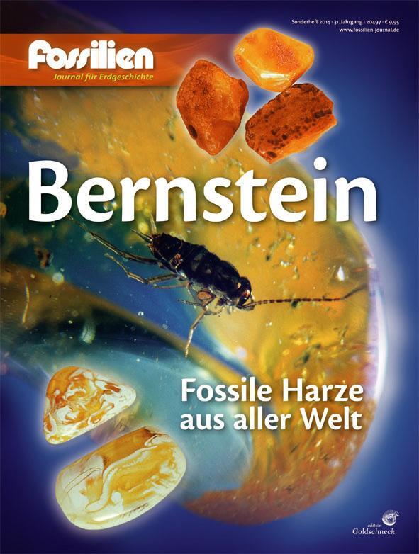 Cover: 9783494015835 | Bernstein | Fossile Harze aus aller Welt | Broschüre | 80 S. | Deutsch