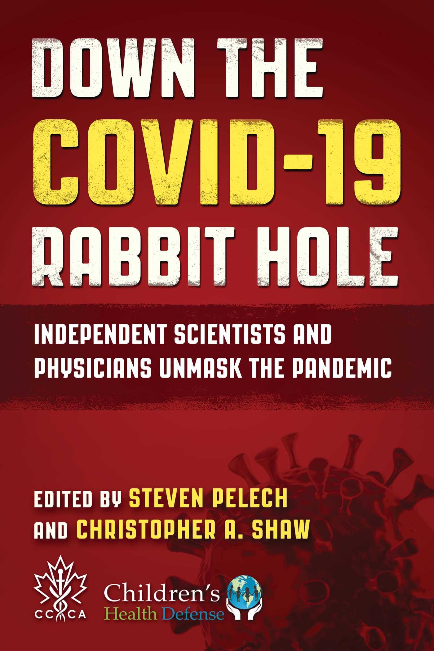 Cover: 9781510779594 | Down the COVID-19 Rabbit Hole | Christopher A. Shaw (u. a.) | Buch