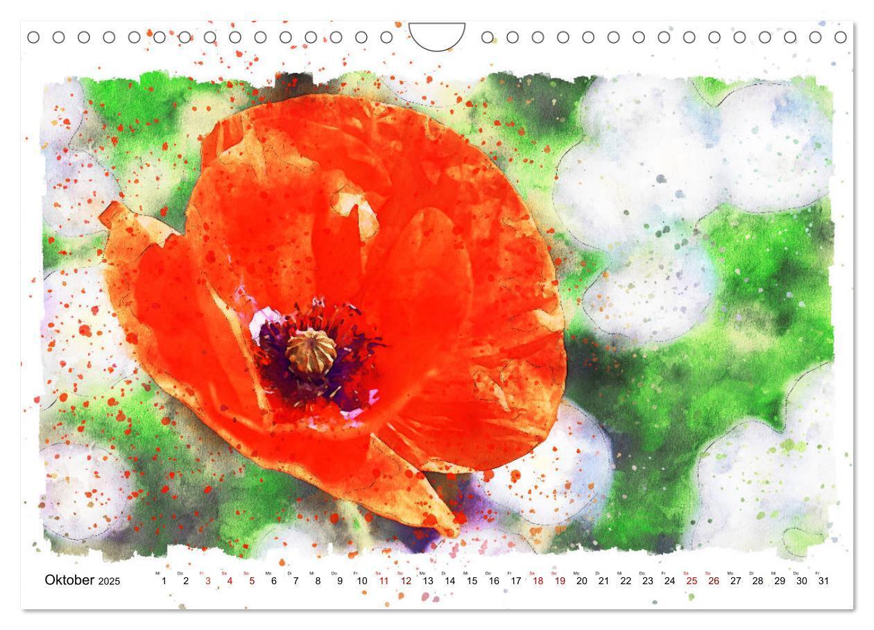 Bild: 9783435141241 | Mohnblüten in Aquarell (Wandkalender 2025 DIN A4 quer), CALVENDO...