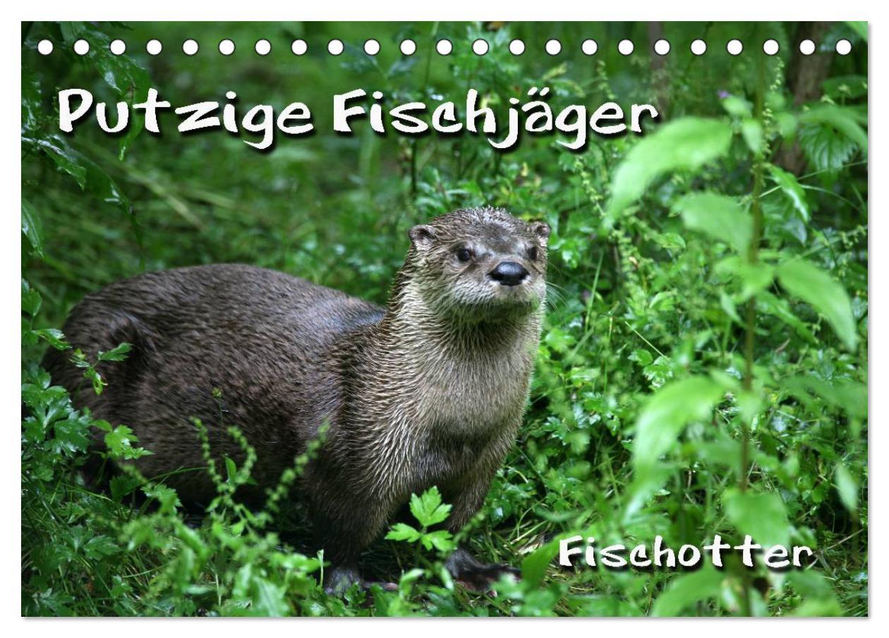 Cover: 9783435833276 | Putzige Fischjäger (Tischkalender 2025 DIN A5 quer), CALVENDO...