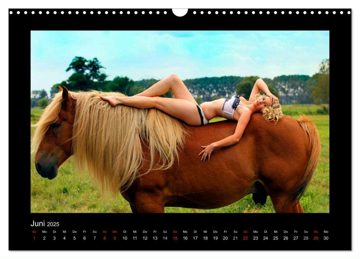 Bild: 9783435750740 | Sexy Horse Girls 2025 - Heiße Girls und starke Kaltblutpferde!...