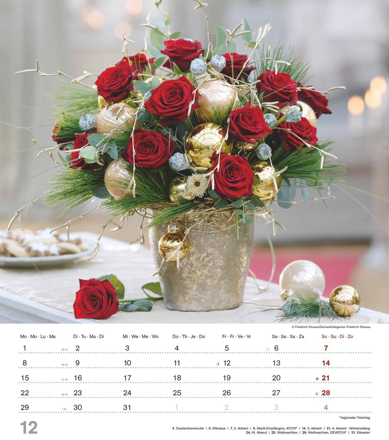 Bild: 4251732342135 | Der Duft der Rosen 2025 - Bildkalender 30x34 cm - Kalender mit wohl...