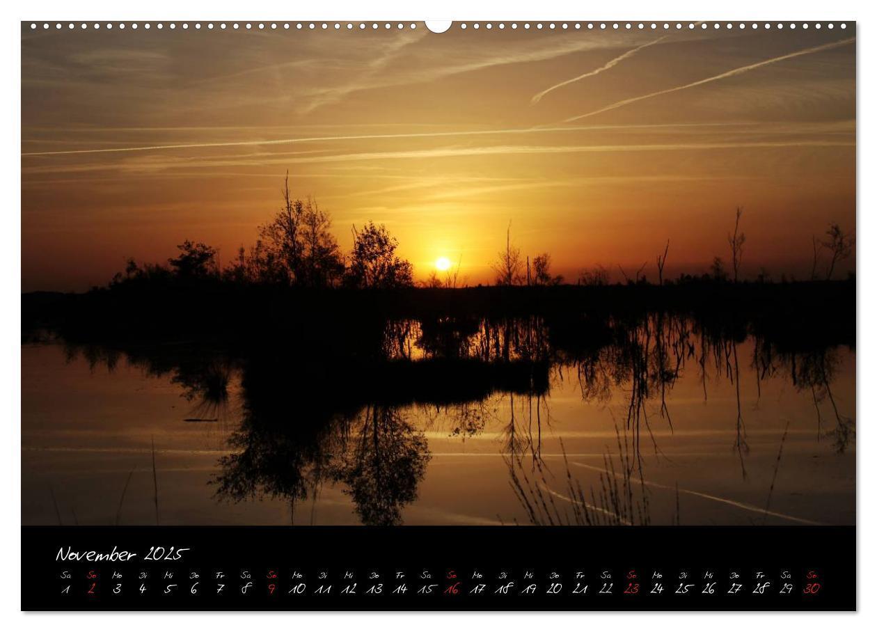 Bild: 9783435566846 | Im Goldenstedter Moor (Wandkalender 2025 DIN A2 quer), CALVENDO...