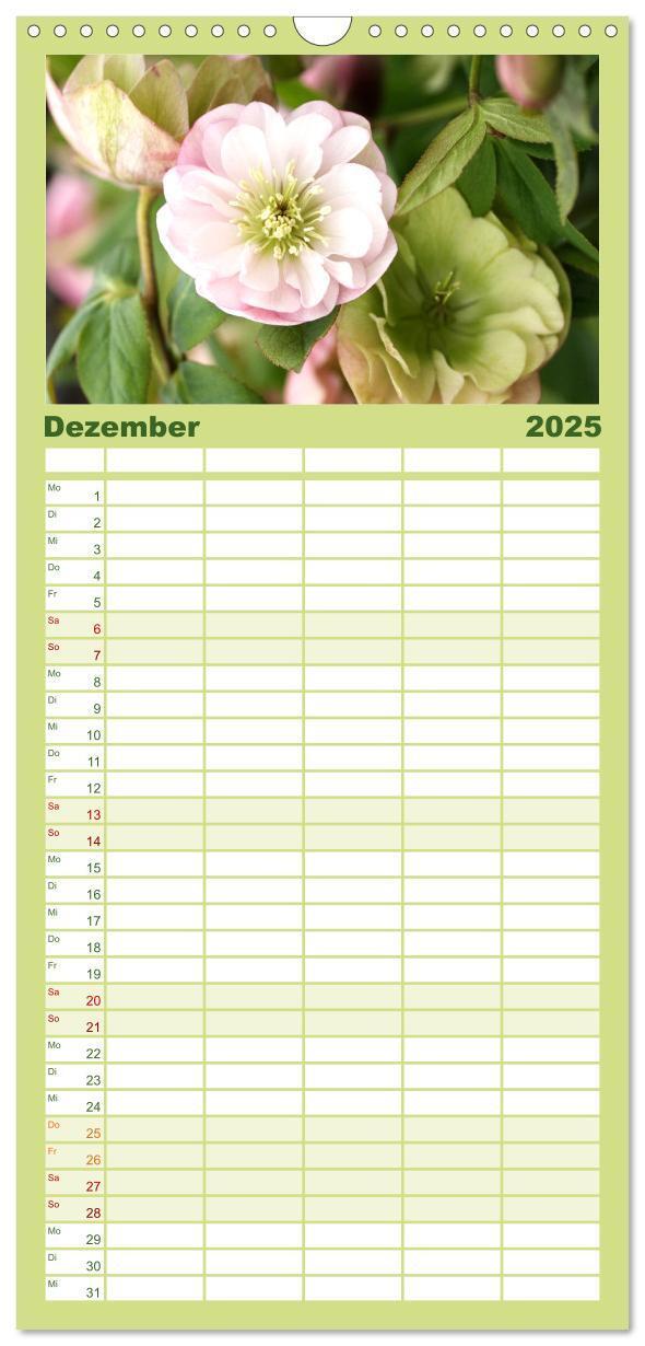 Bild: 9783457100844 | Familienplaner 2025 - Sanfte Natur mit 5 Spalten (Wandkalender, 21...