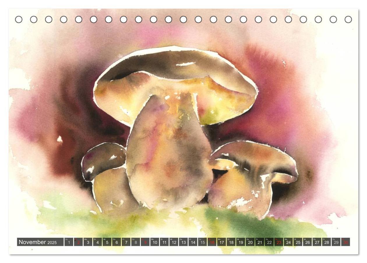 Bild: 9783435593545 | Pilze in Aquarell (Tischkalender 2025 DIN A5 quer), CALVENDO...