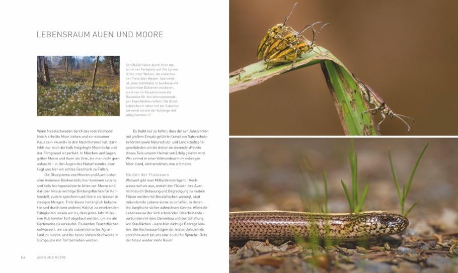 Bild: 9783862467372 | Verborgene Wildnis Bayern | Faszinierende Natur vor unserer Haustür