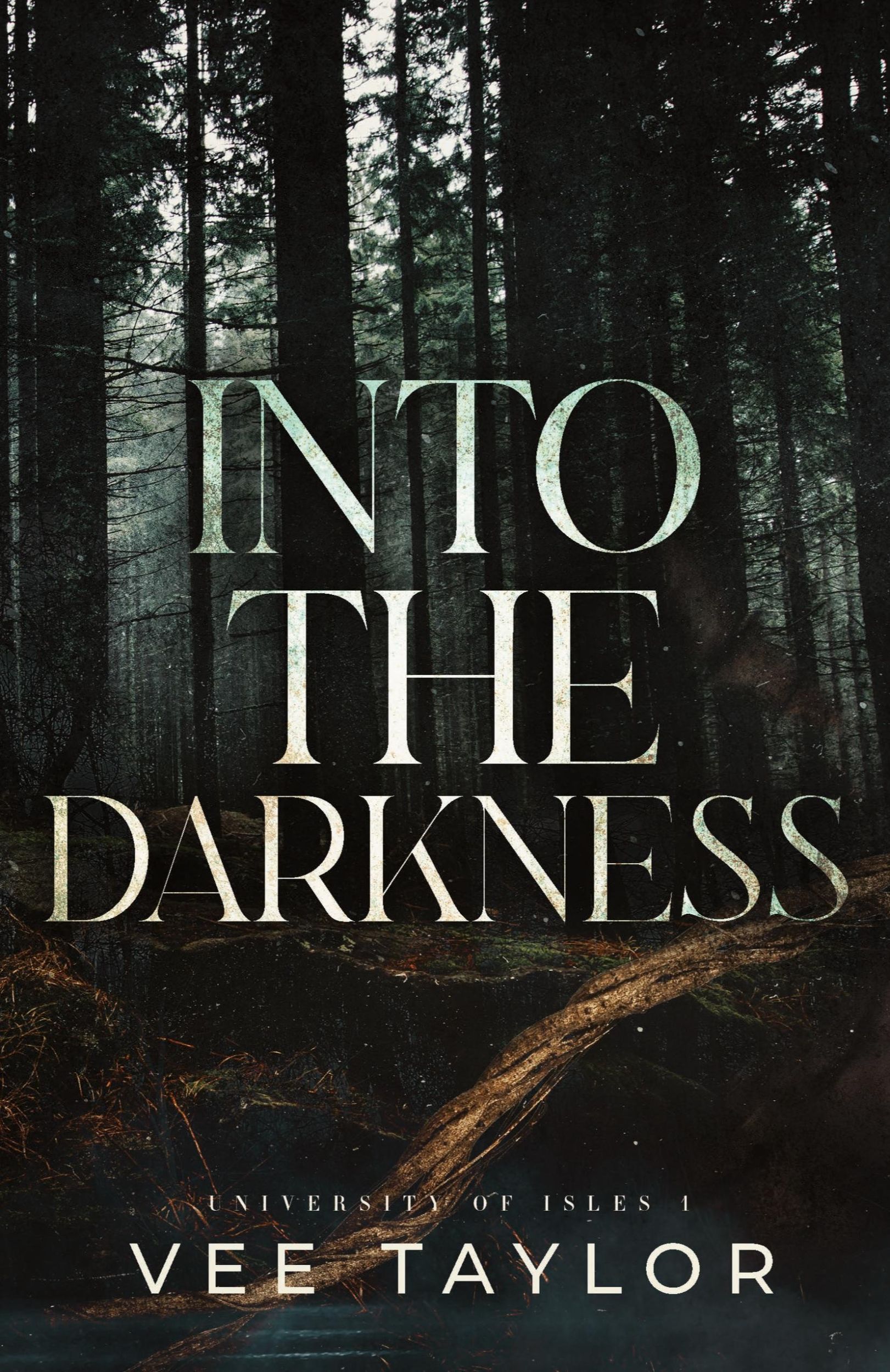 Cover: 9798218384715 | Into the Darkness | Vee Taylor | Taschenbuch | Englisch | 2024