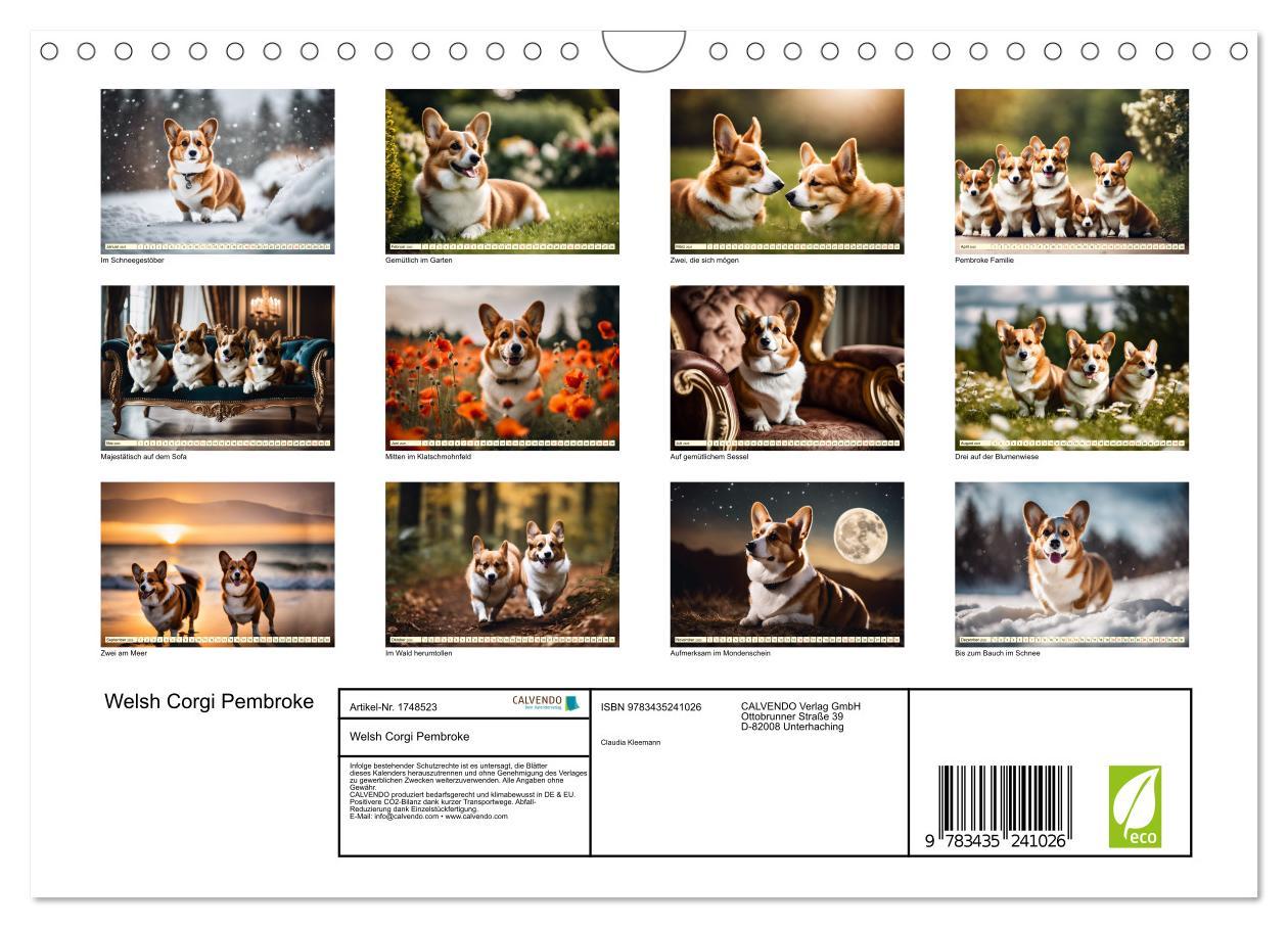 Bild: 9783435241026 | Welsh Corgi Pembroke (Wandkalender 2025 DIN A4 quer), CALVENDO...