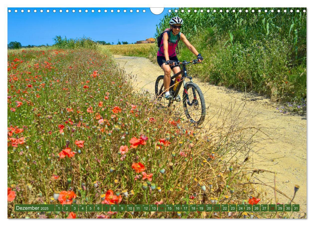 Bild: 9783383933738 | Biken - Impressionen von Rolf Dietz (Wandkalender 2025 DIN A3...