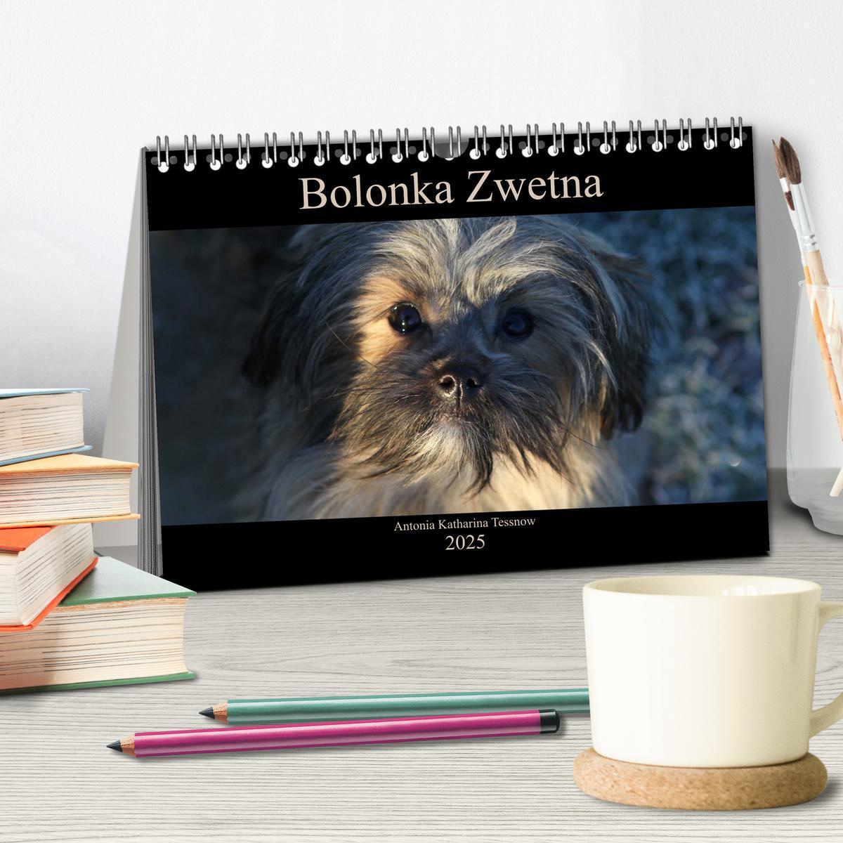 Bild: 9783435415571 | Bolonka Zwetna 2025 (Tischkalender 2025 DIN A5 quer), CALVENDO...