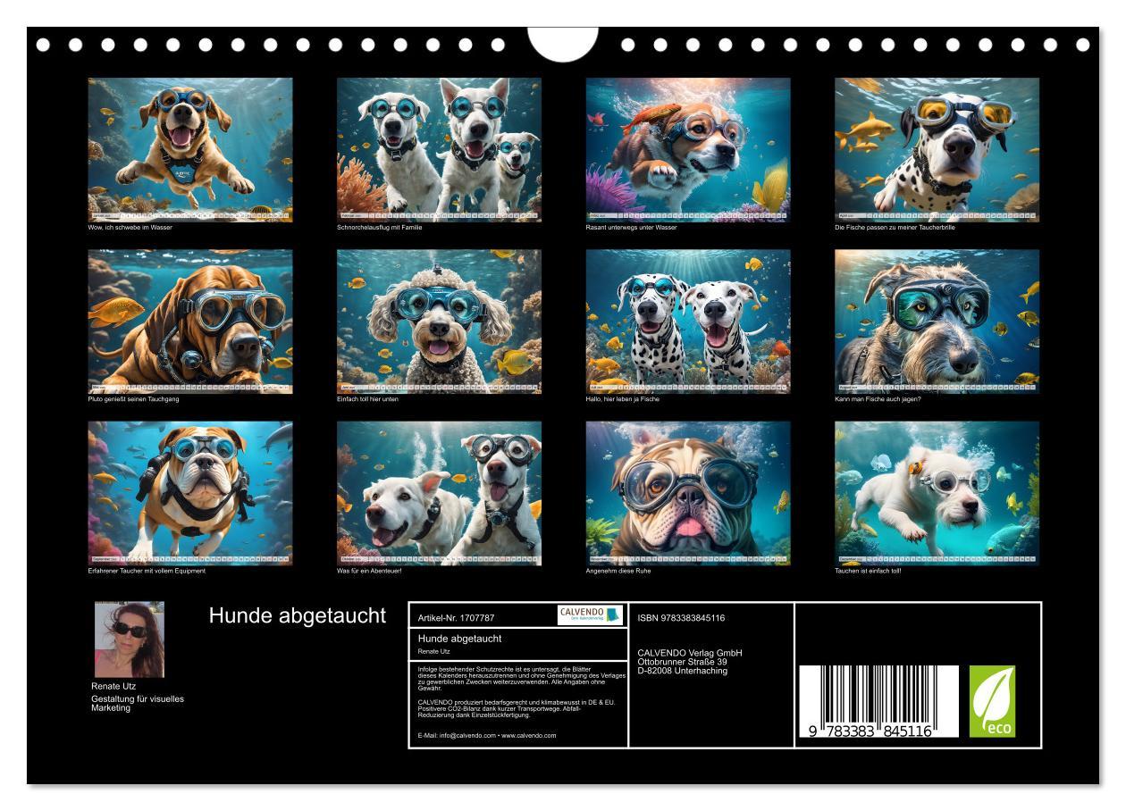 Bild: 9783383845116 | Hunde abgetaucht (Wandkalender 2025 DIN A4 quer), CALVENDO...