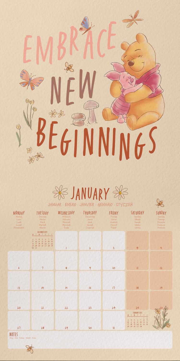 Bild: 9781804231609 | Winnie the Pooh 2025 30X30 Broschürenkalender | Kalender | 28 S.