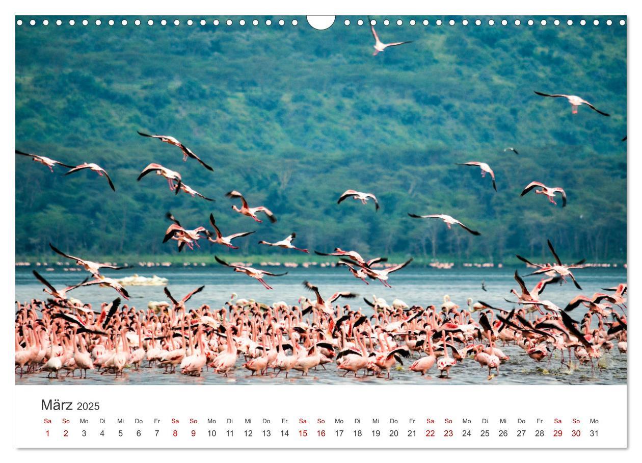 Bild: 9783435002733 | Kenia - Eine Safari durch unberührte Natur. (Wandkalender 2025 DIN...