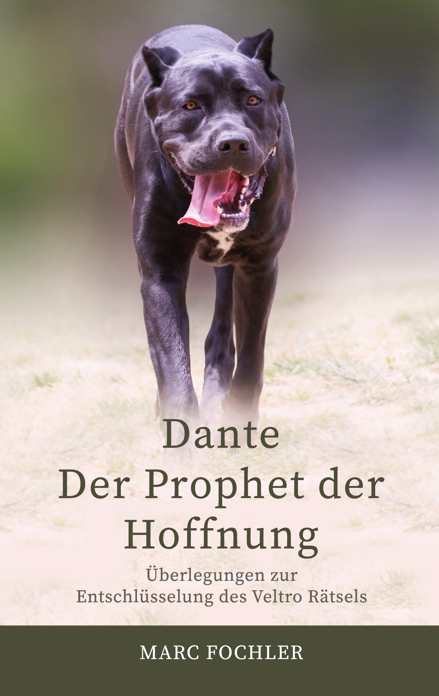 Cover: 9783347708501 | Dante ¿ Der Prophet der Hoffnung | Marc Fochler | Taschenbuch | 176 S.