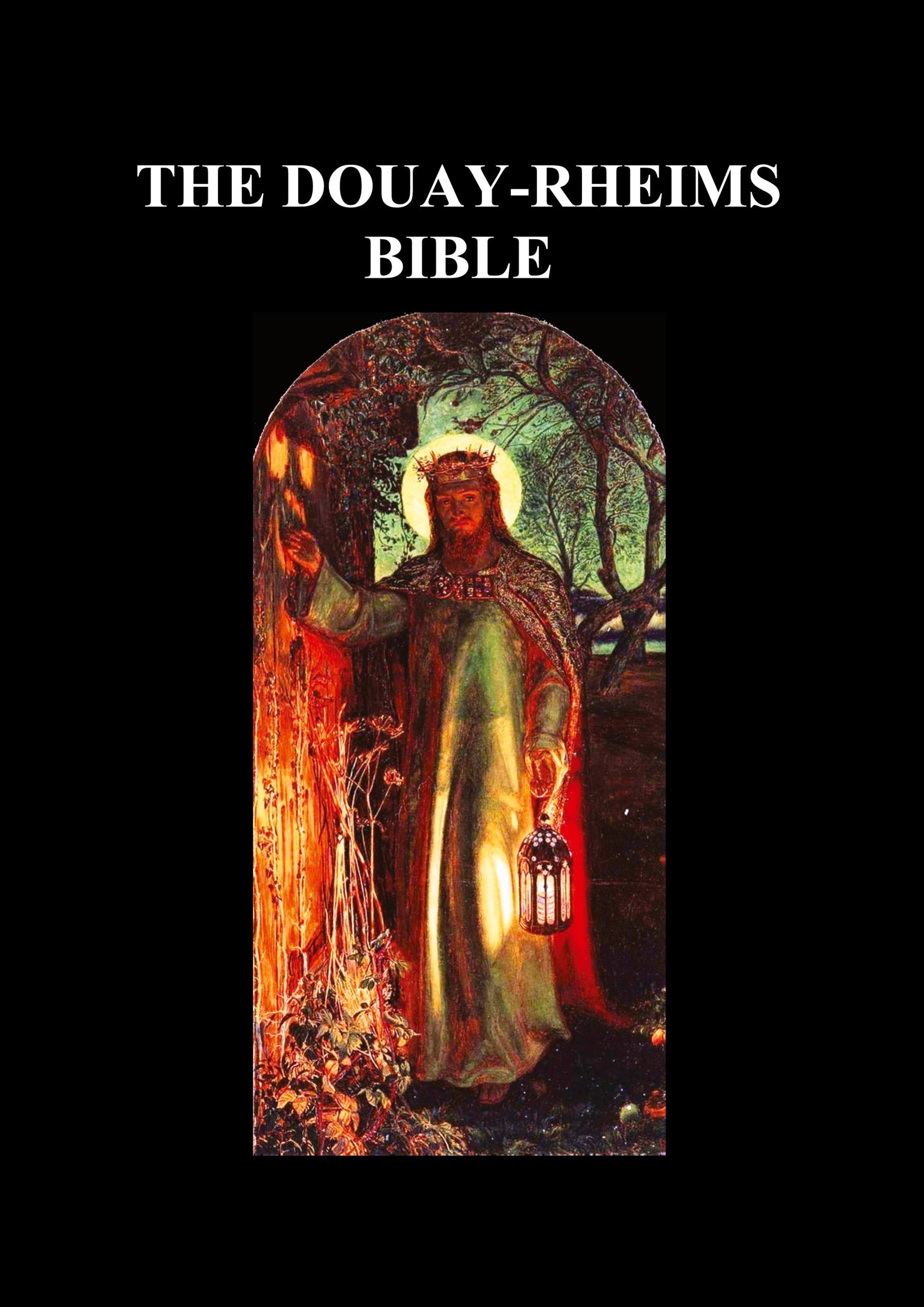 Cover: 9781849029865 | Douay-Rheims Bible | (complete with notes) | Douay-Rheims | Buch