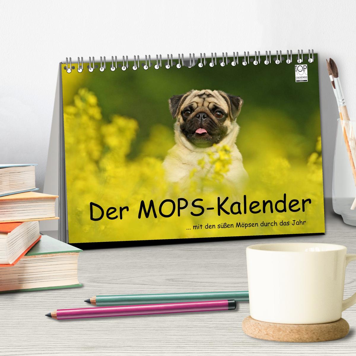 Bild: 9783435768424 | Der MOPS-Kalender (Tischkalender 2025 DIN A5 quer), CALVENDO...