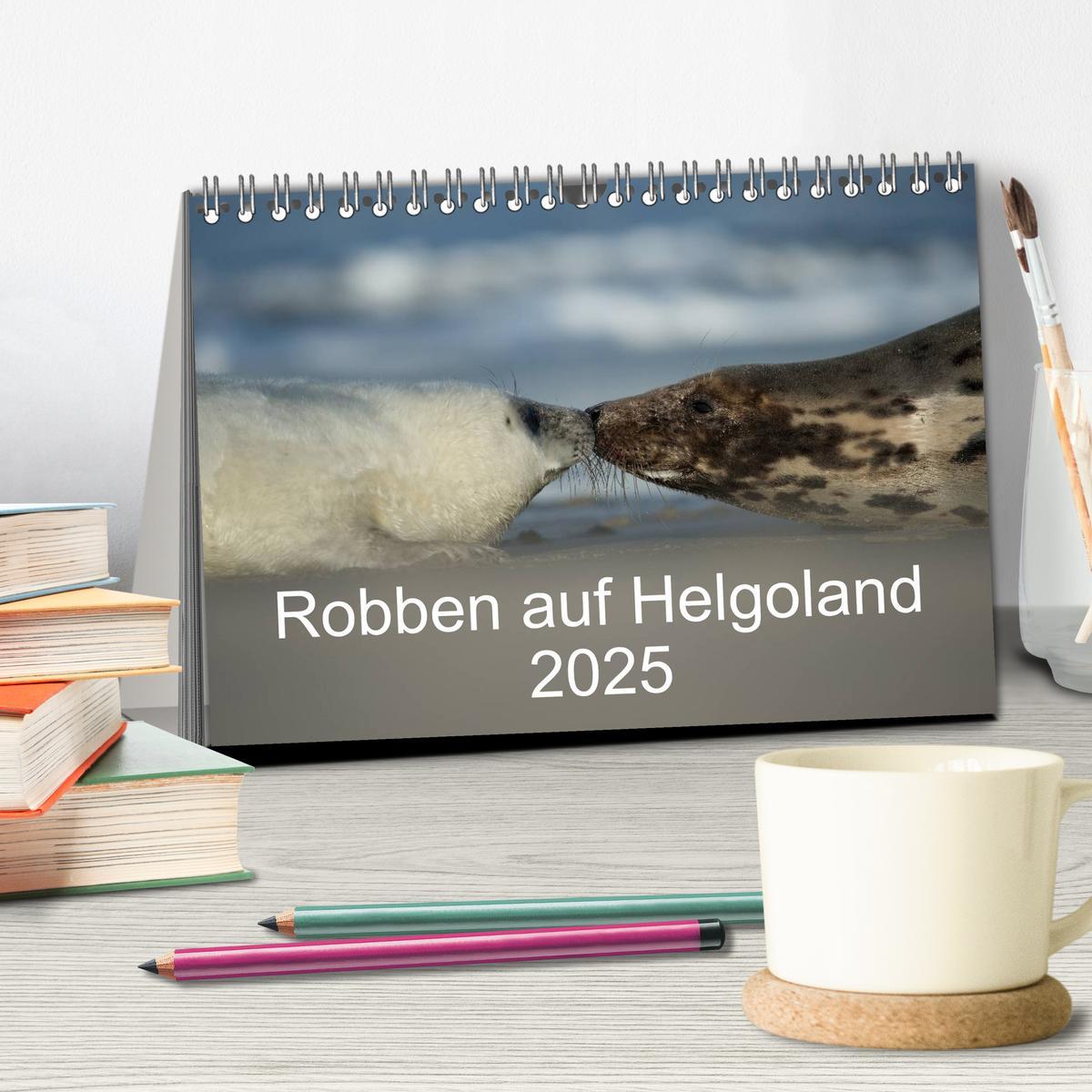 Bild: 9783435712014 | Robben auf Helgoland 2025 (Tischkalender 2025 DIN A5 quer),...