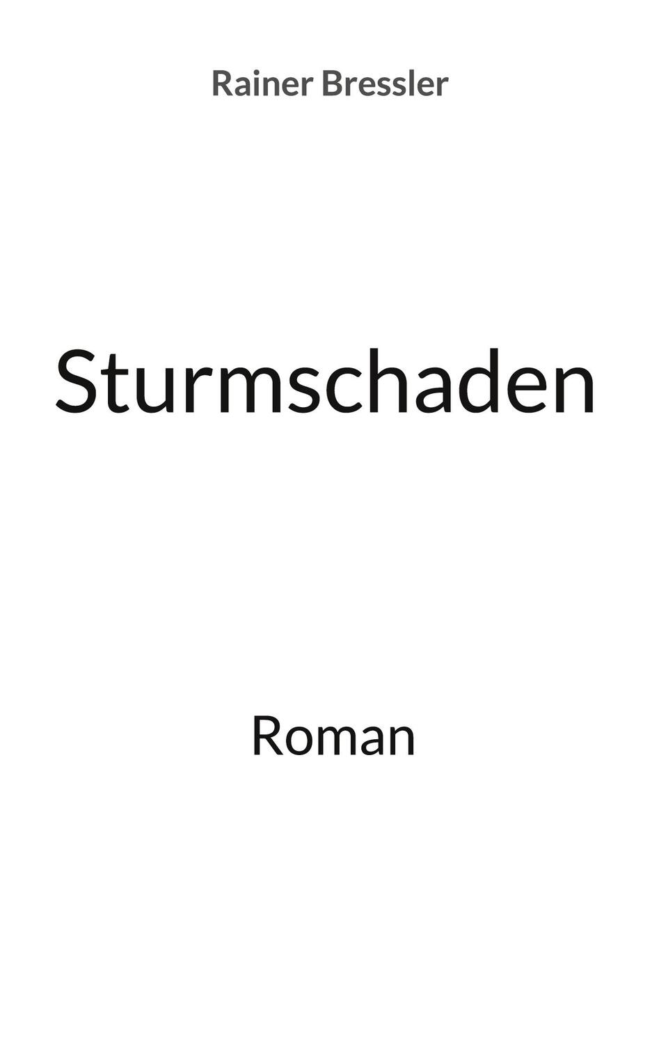 Cover: 9783759770349 | Sturmschaden | Roman | Rainer Bressler | Taschenbuch | Paperback