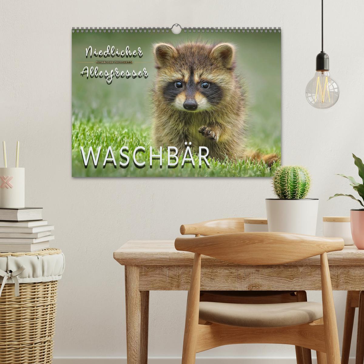 Bild: 9783435334735 | Waschbär - Niedlicher Allesfresser (Wandkalender 2025 DIN A3 quer),...