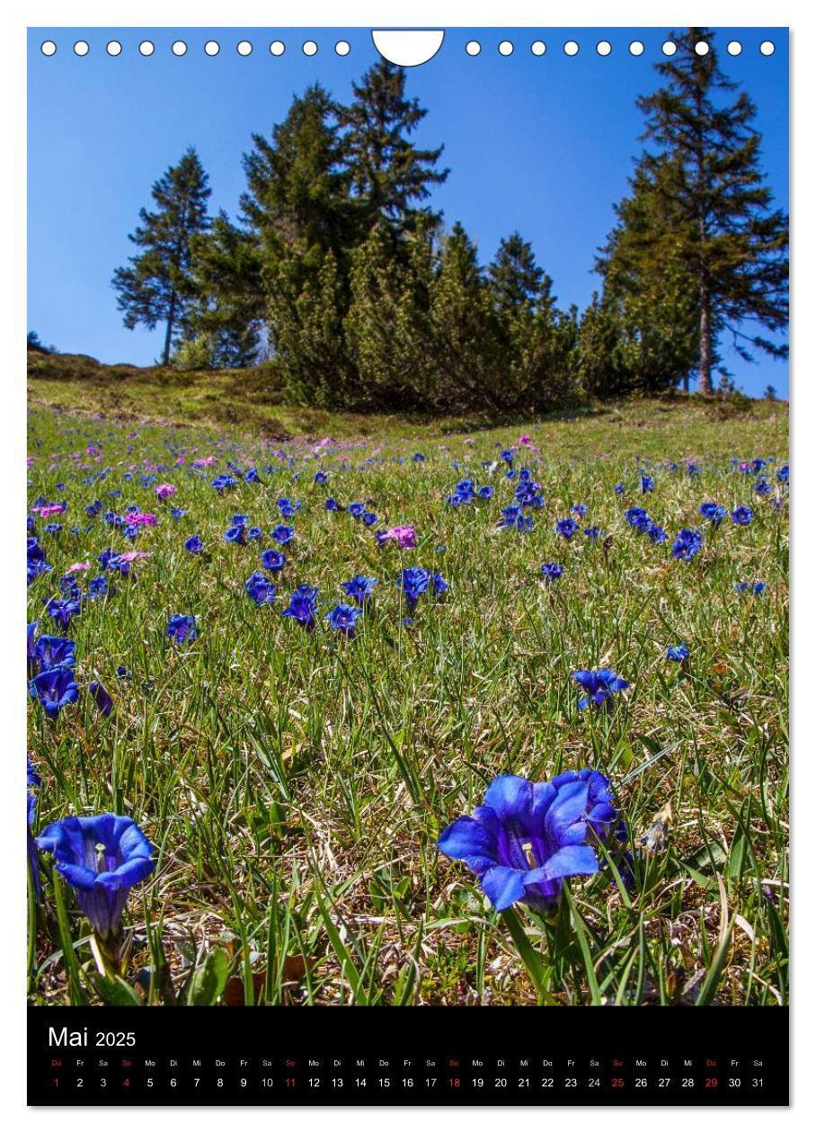 Bild: 9783457042168 | Bergblicke - Mittenwald (Wandkalender 2025 DIN A4 hoch), CALVENDO...