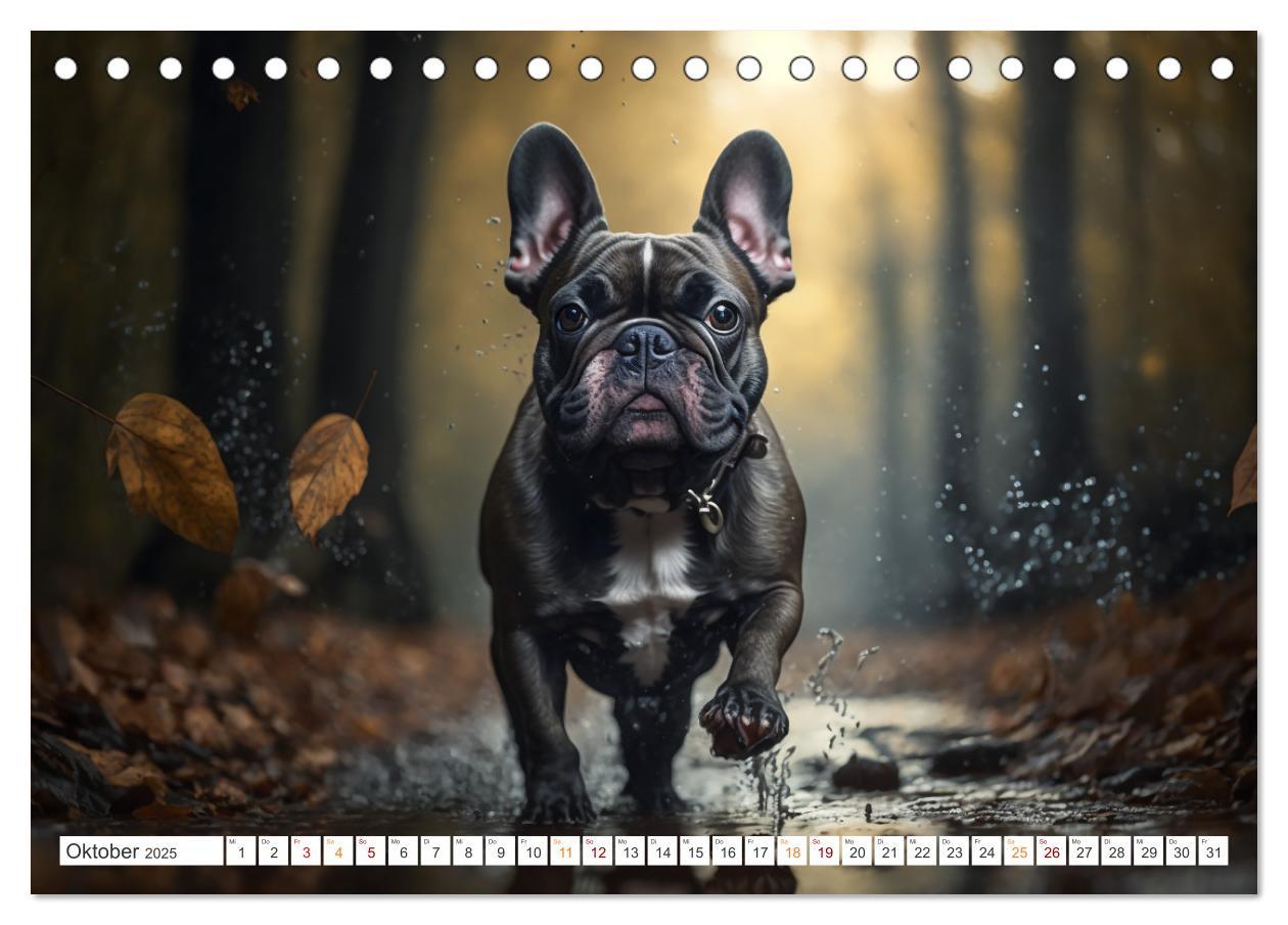 Bild: 9783383909153 | Französische Bulldoggen (Tischkalender 2025 DIN A5 quer), CALVENDO...