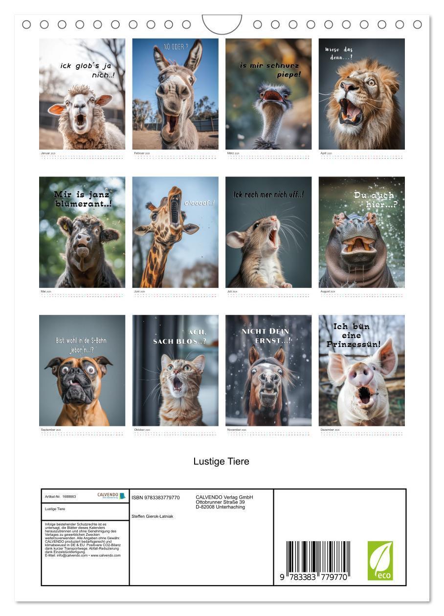 Bild: 9783383779770 | Lustige Tiere (Wandkalender 2025 DIN A4 hoch), CALVENDO Monatskalender