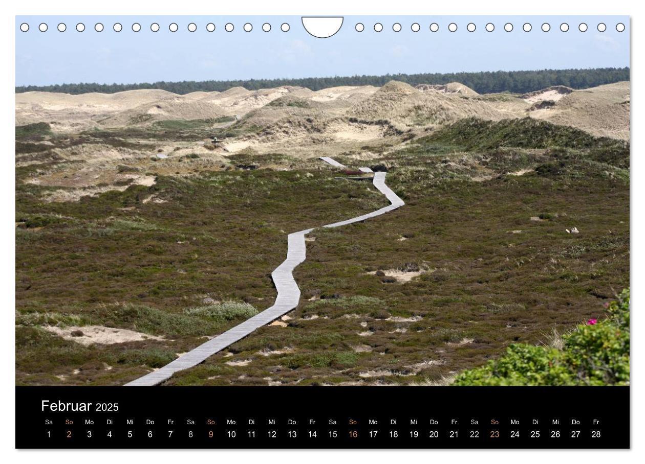 Bild: 9783435788378 | Die Insel Amrum (Wandkalender 2025 DIN A4 quer), CALVENDO...