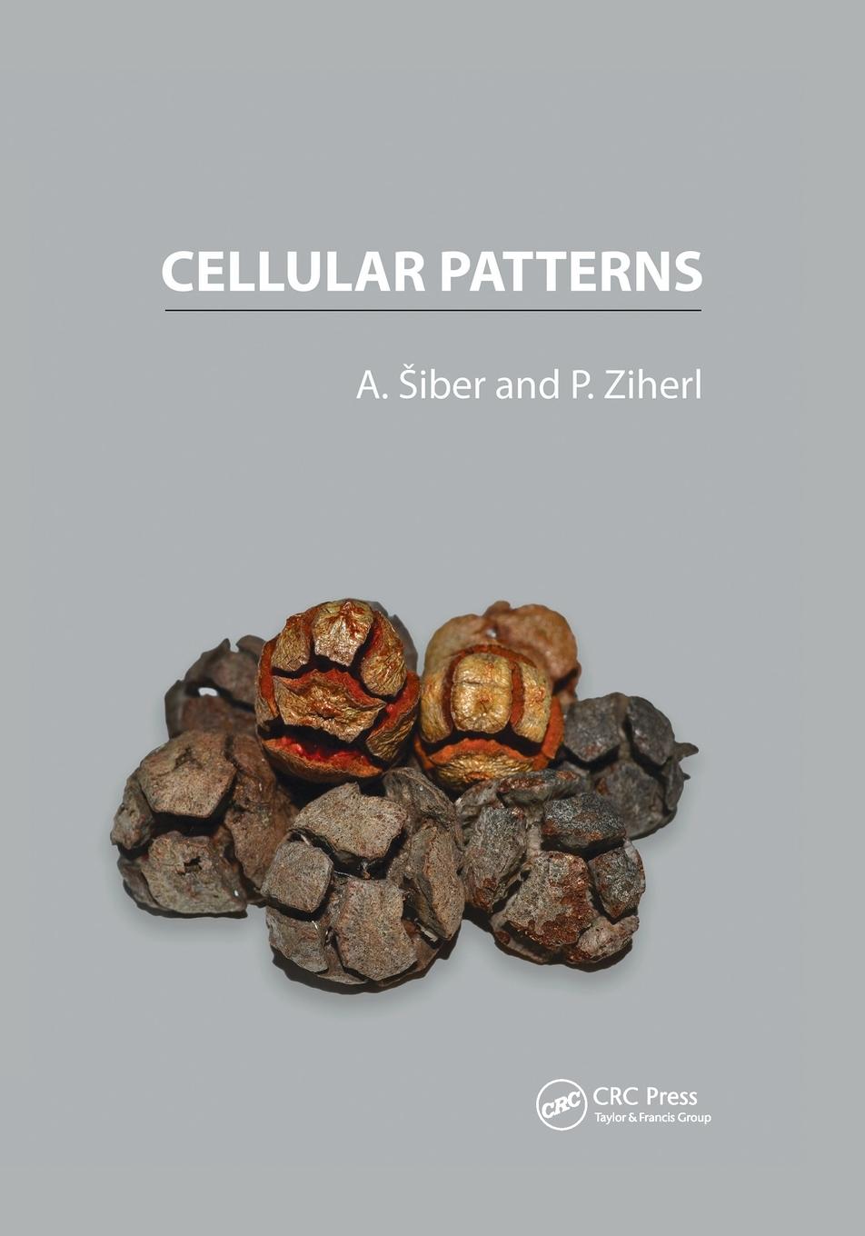 Cover: 9780367572501 | Cellular Patterns | Antonio Siber (u. a.) | Taschenbuch | Englisch