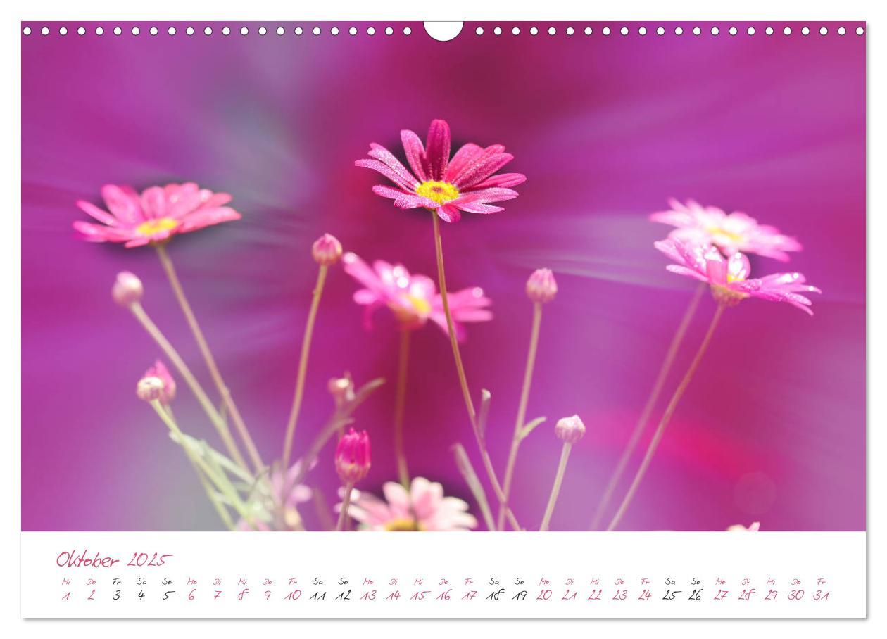 Bild: 9783435212743 | Blütenträume in violett und pink (Wandkalender 2025 DIN A3 quer),...