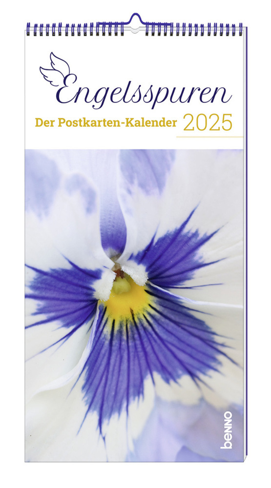 Cover: 9783746265018 | Engelsspuren 2025 | Der Postkarten-Kalender | Kalender | Spiralbindung